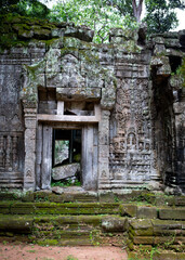 Fototapeta premium The ruins of Ta Prohm, the Tomb Raider Temple, in Angkor, Cambodia