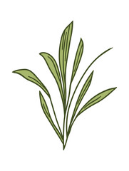 Elegant Green Leaf Illustration