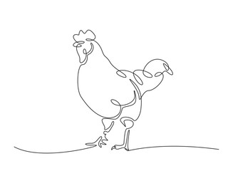 Chicken livestock in continuous one line drawing. Chicken, hen , rooster line draw. Editable vector.