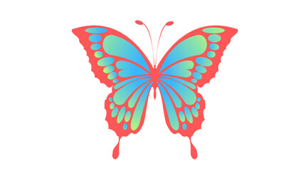 Obraz premium Beautiful Butterfly