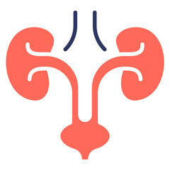 Urology Icon