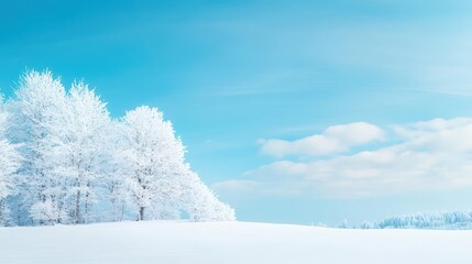 Obraz premium Snowy landscape featuring trees under a clear blue sky in a serene winter setting