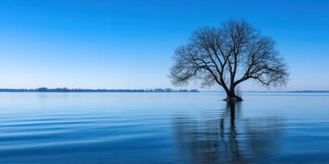 Serene Blue Landscape with Lonely Tree and Calm Water Reflection