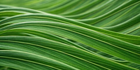 Organic green lines weave together in a fluid, abstract pattern, reminiscent of nature's own rhythms and cycles, natural, geometric, organic, texture