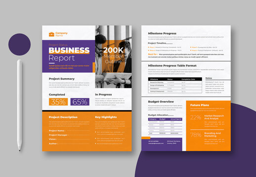 Business Executive Summary Report Template Layout