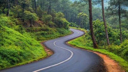 Fototapeta premium A serene rural road winding through lush greenery, with a single vehicle in motion, capturing the tranquility of countryside transportation