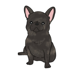 フレンチブルドッグ(ブリンドル)