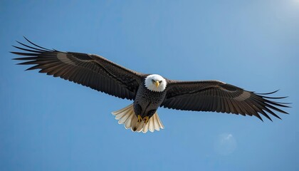 Fototapeta premium A bald eagle soaring effortlessly through a clear blue sky, its powerful wings outstretched in majestic flight, embodying the spirit of freedom and strength. 