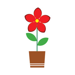 Red color flower in flowerpot