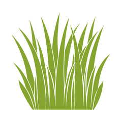 Green Grass Illustration