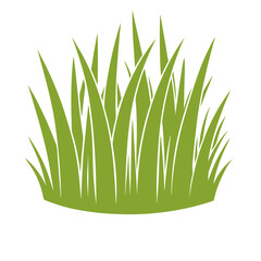 Green Grass Illustration