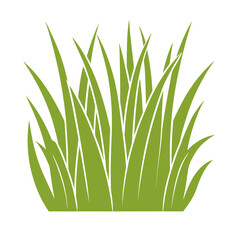 Green Grass Illustration