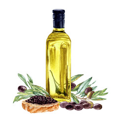 Olive oil Bottle with Tapenade sandwich composition in Watercolor