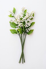 Small White Flower Bouquet on White Background