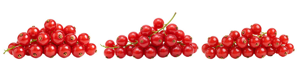 Obraz premium Red Currants Isolated on Transparent Background - High-Resolution Stock Photo