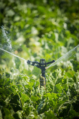 A close-up of a sprinkler head in a field, used for irrigation in agriculture, with a blurred...