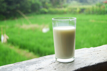 a glass of milk in the morning with a rice field background