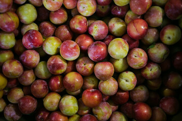 A close-up of freshly harvested plums with a mix of vibrant red, yellow, and green hues, showcasing their natural textures and ripeness.