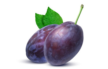 プルーン イラスト リアル 白バック