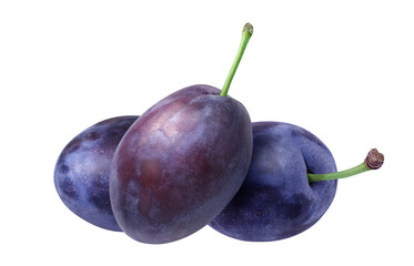 プルーン イラスト リアル 白バック