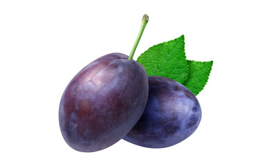 プルーン イラスト リアル 白バック