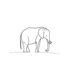 Fototapeta premium Night Elephant Reflection: A Serene African Night