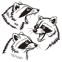 cute three Raccoons outline: black and white symbol design elegant logo premium luxury brand identity icon silhouette vector image drawing for t-shirt prints