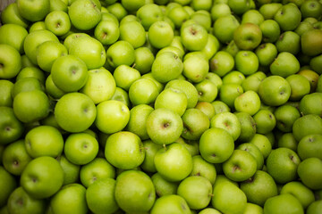 A vibrant pile of fresh green apples, commonly recognized as a tart and crisp variety, ideal for snacking, baking, and juicing. The apples' smooth skin and uniform color showcase their freshness.