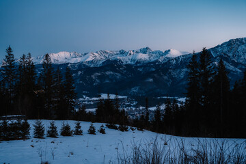 Winter snow panorama of the city of Zakopane and poland Tatras mountains from Gubałowka viewpoint, Poland