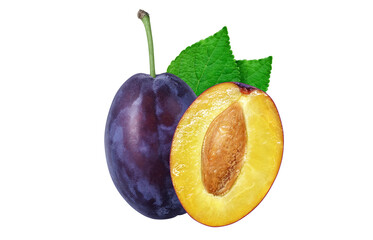 プルーンのイラスト リアル