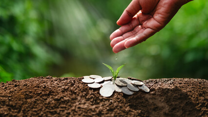 Human hand watering a plant on a pile of silver coins. Green business concept, environmental...