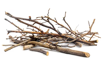  Dry branches isolated on white background © Shipons Creative