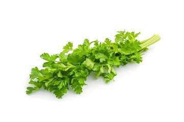 Fototapeta premium Fresh parsley on white background