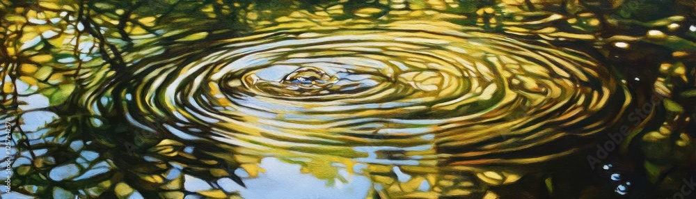 Poster Droplet creating concentric circles in the reflective water surface