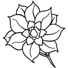 black and white flower