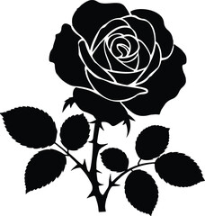 Rose Flower Vector Illustration
