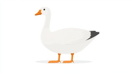 Obraz premium 38.Simple and elegant vector illustration of a white goose with orange beak and feet, standing upright in a flat minimalistic style, isolated on a clean white background.
