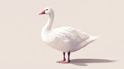 Obraz premium 98.Vector illustration of a white goose standing gracefully, with detailed feather textures and soft shadows, on a clean and minimalistic background.