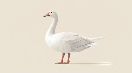 Fototapeta premium 98.Vector illustration of a white goose standing gracefully, with detailed feather textures and soft shadows, on a clean and minimalistic background.