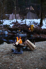 campfire in the forest