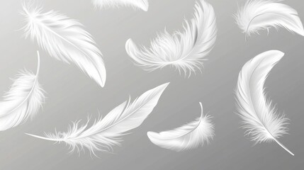 Obraz premium 62.Realistic vector illustration of delicate white feathers floating in mid-air, each feather intricately detailed with soft edges and fine filaments, arranged against a transparent background.