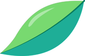 Green leaf isolated on a white