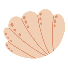 cute shell illustration