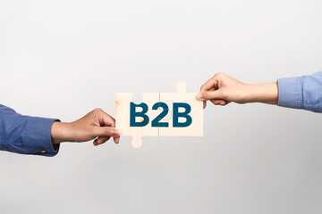 B2B marketing strategy concept. business to business, e-commerce, Professional business and...