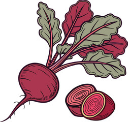 Beetroot Vegetable, Beetroot Illustration, Beetroot Vector art, vegetable illustration, Beetroot vector art with a white background.