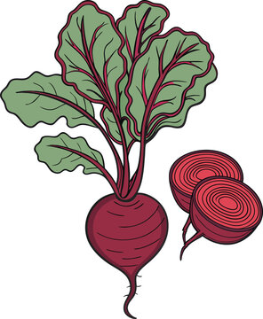 red beet plant with green leaves clip art preview