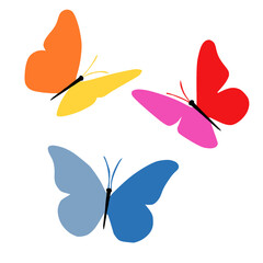 colorful butterflies illustration,  graphic flat style