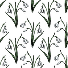 Seamless Pattern With Painted Snowdrops On White Background