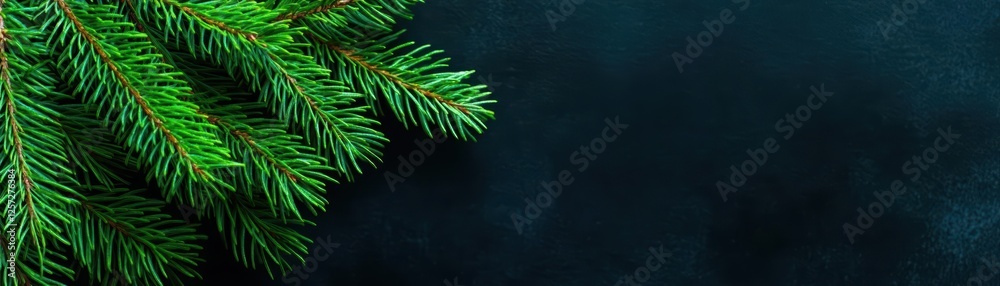 Poster fir tree branch on dark background with detailed green needles and textured bark