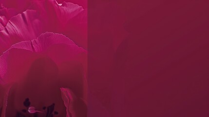 Crimson Poppy Petals: A Close-Up Study of Delicate Bloom